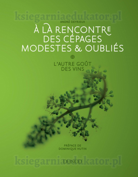 À la rencontre des cépages modestes & oubliés: l'autre goût des vins À la rencontre des cépages modestes & oubliés: l'autre goût des vins