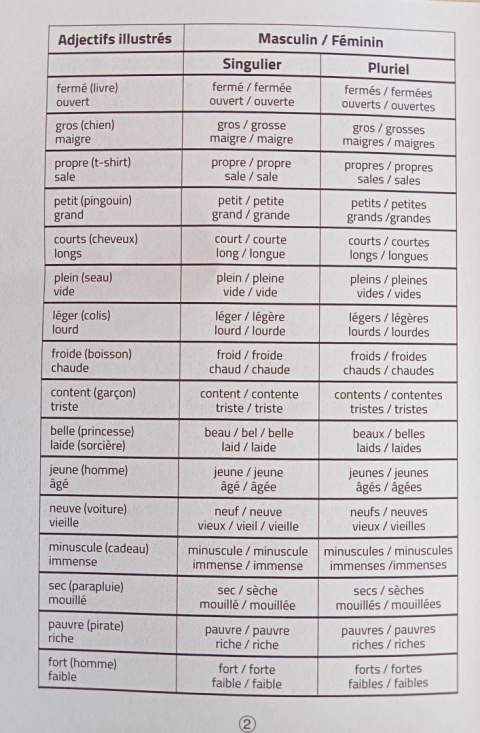 Adjectifs et contraires