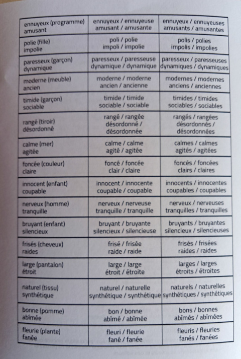 Adjectifs et contraires