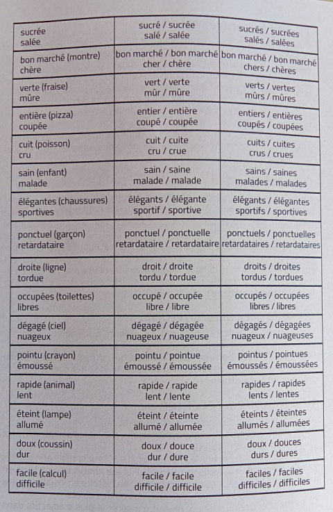 Adjectifs et contraires