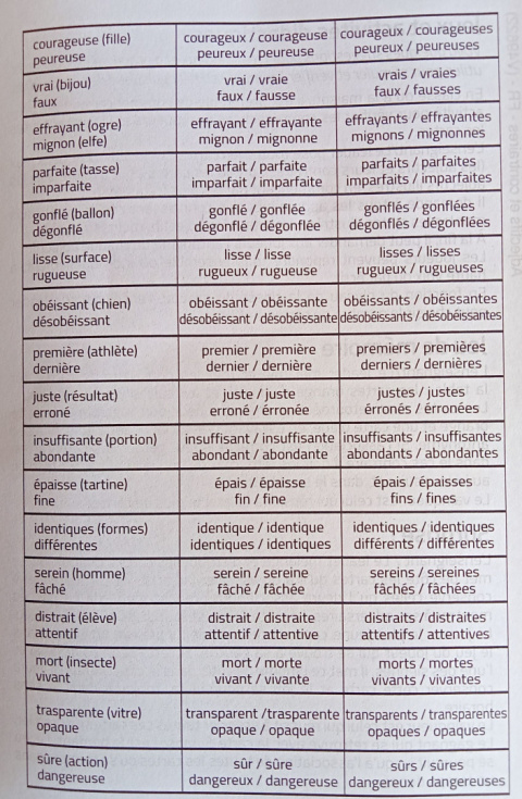 Adjectifs et contraires