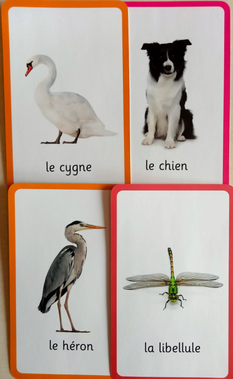 Cartes de jeu et d'apprentissage Les animaux