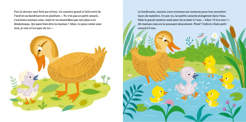Le vilain petit canard Le vilain petit canard